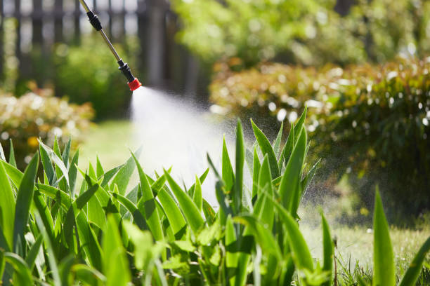 24/7 Emergency Mosquito Control experts in Pennside, PA